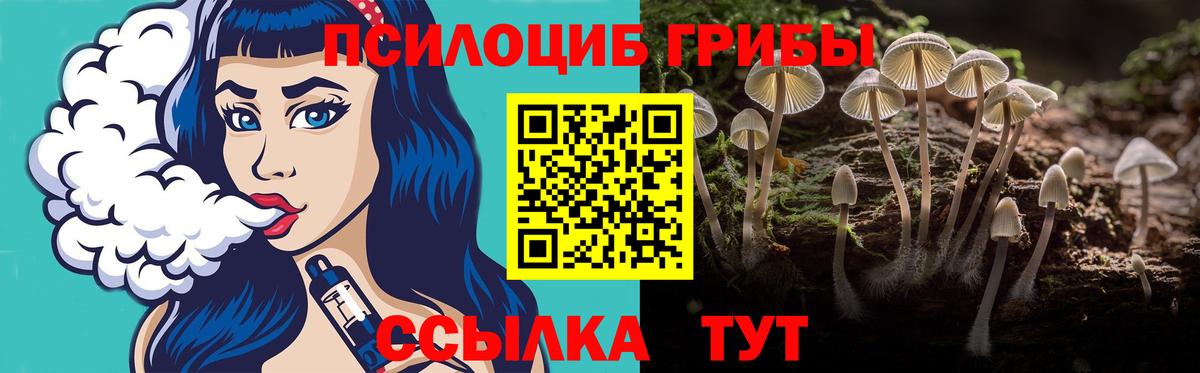 Галлюциногенные грибы Magic Shrooms Дзержинский